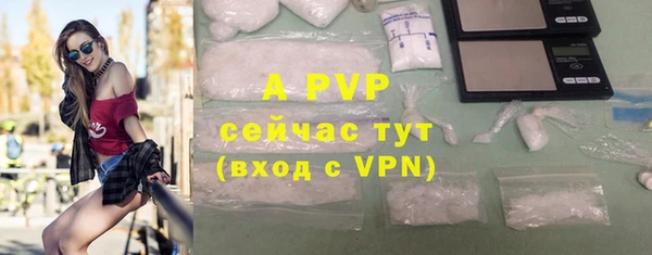 гашик Сясьстрой