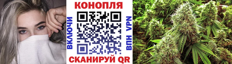 Каннабис план Собинка